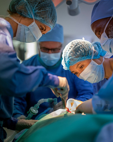 Cadaveric Workshop